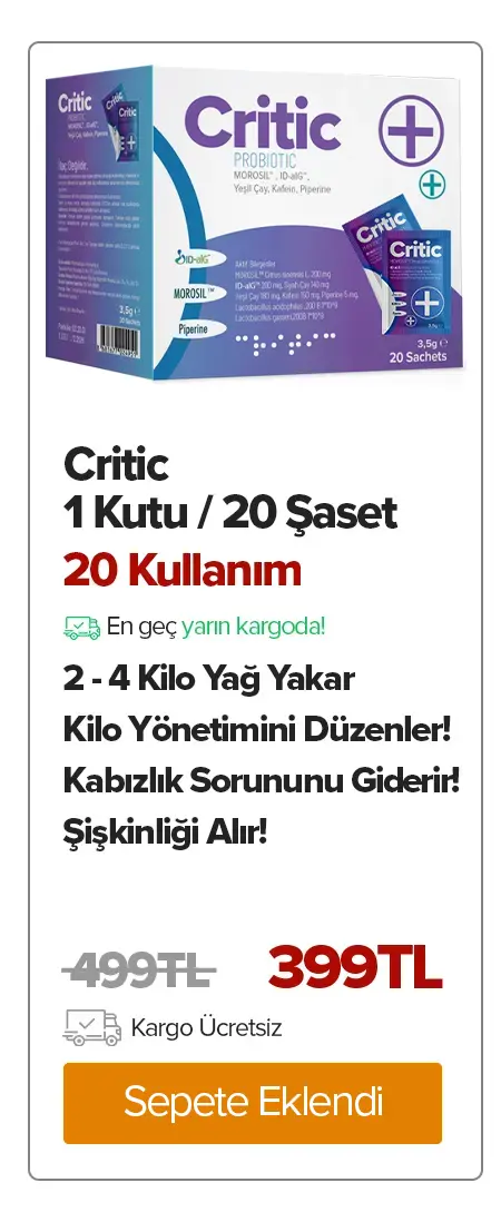 Critic 1 Adet