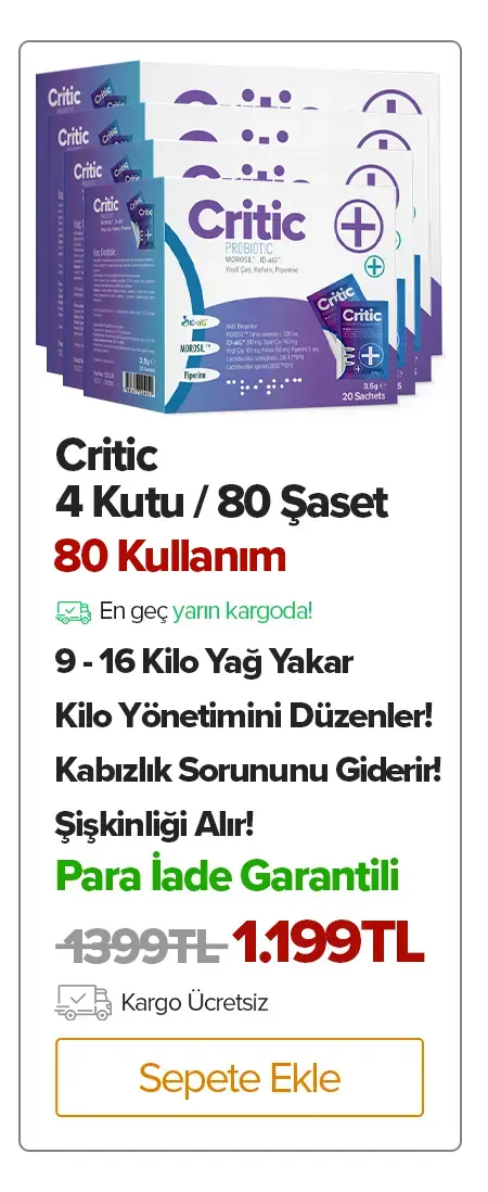 Critic 4 Adet